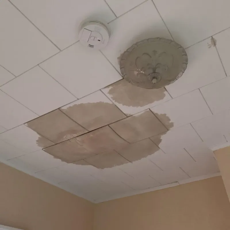 Ceiling Water Damage Repair in Conway, MA