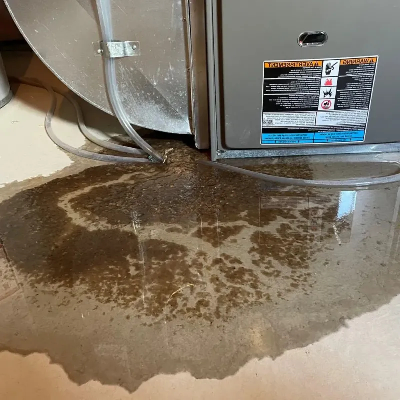 Pipe Burst and Leak Restoration in Conway, MA
