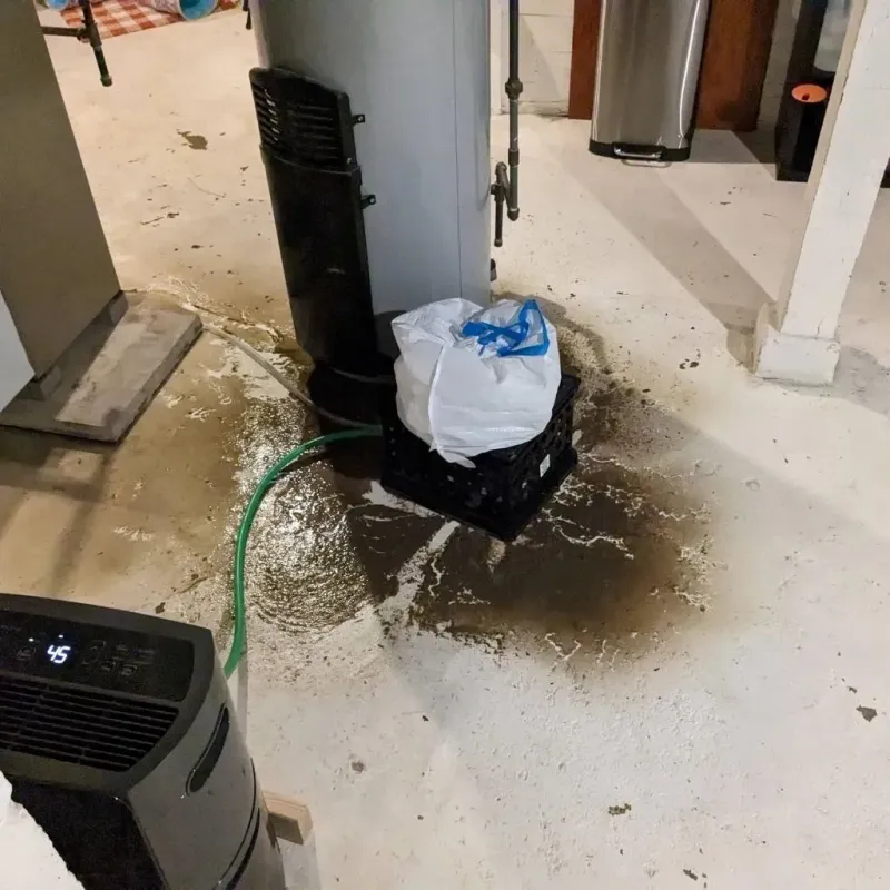 Sewage Backup Cleanup Service in Conway, MA